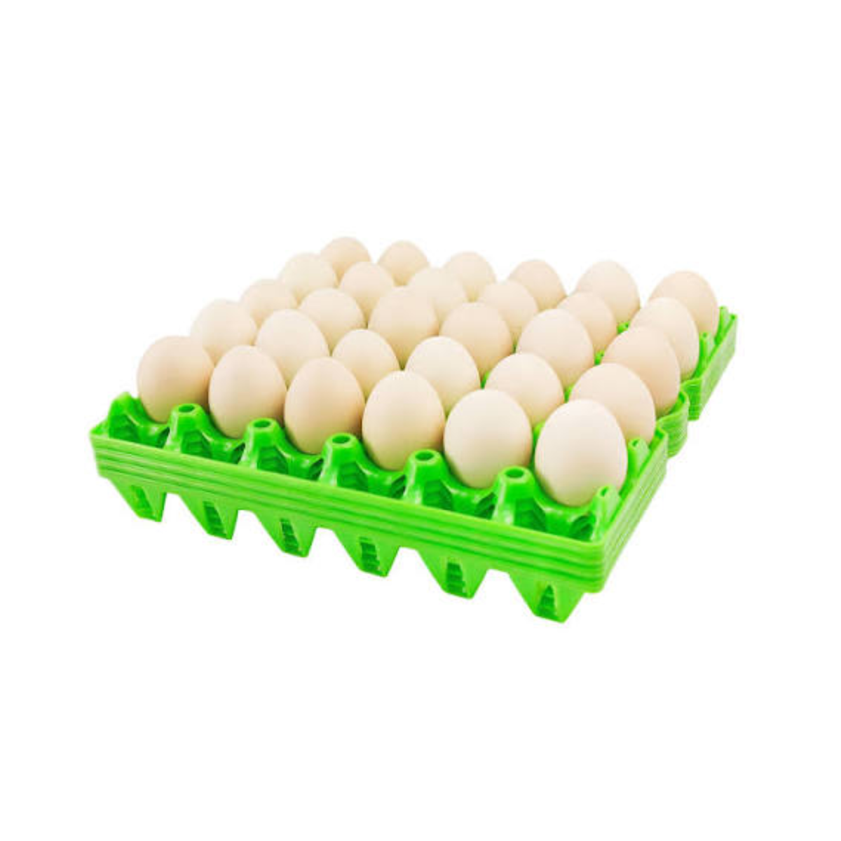 Eggs Open Tray 30Pcs