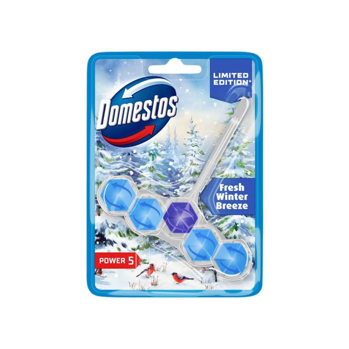 Domestos Fresh Winter Breeze Power 5 Block 55g