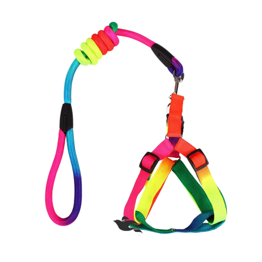 Pet Rainbow Lesesh Harness Medium