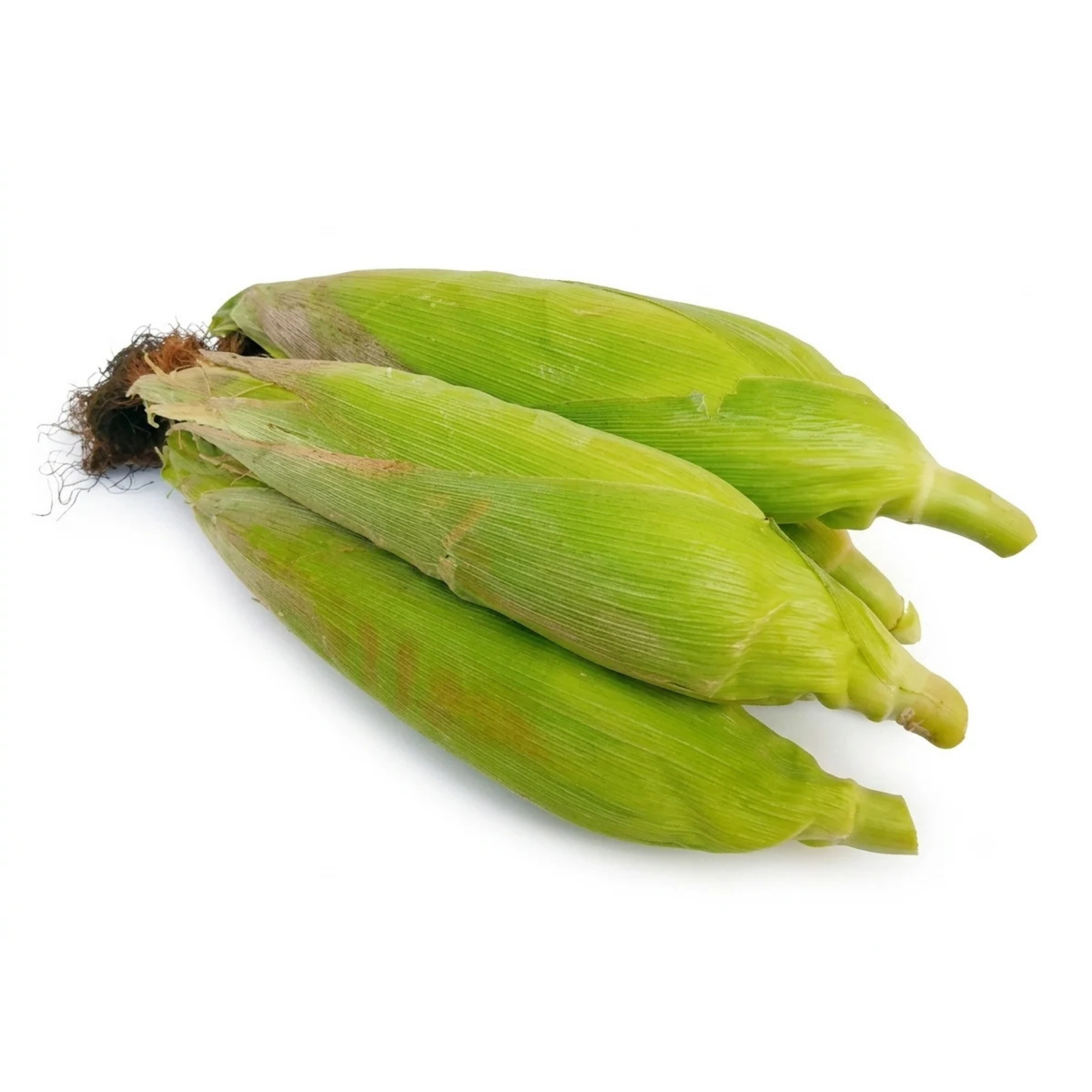 Fresh Veg Green Corn