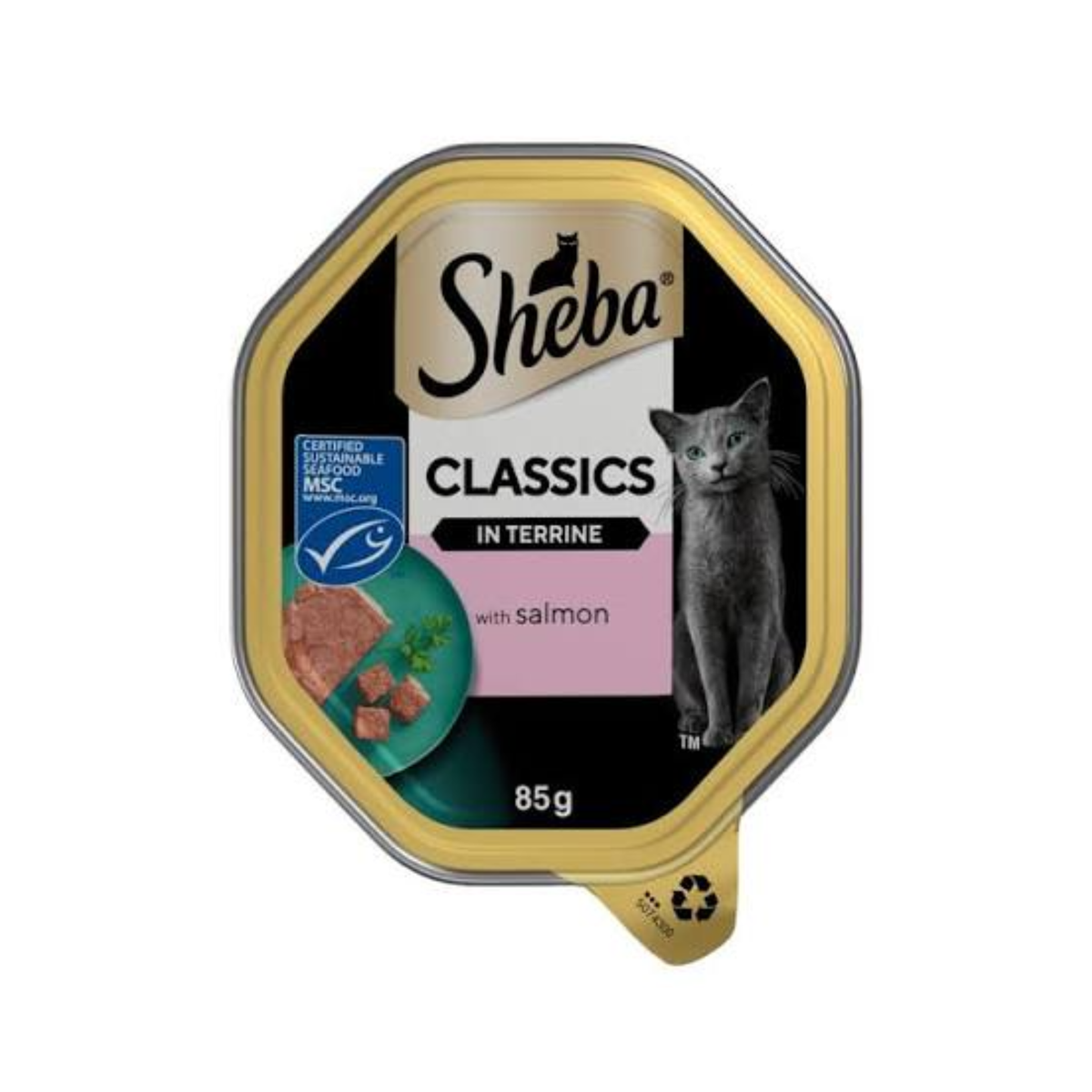 Sheba Classics Wet Cat Food Tray Salmon in Terrine 85g