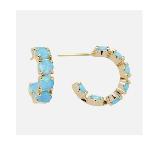 Earrings Fancy Local