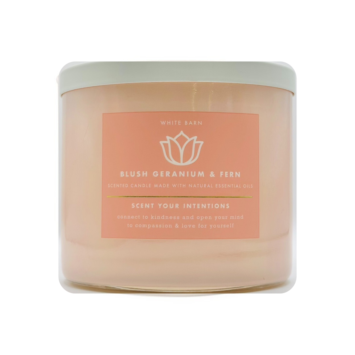 Baath And Body Works Candle 3 Wick Blush Geraniom Fern