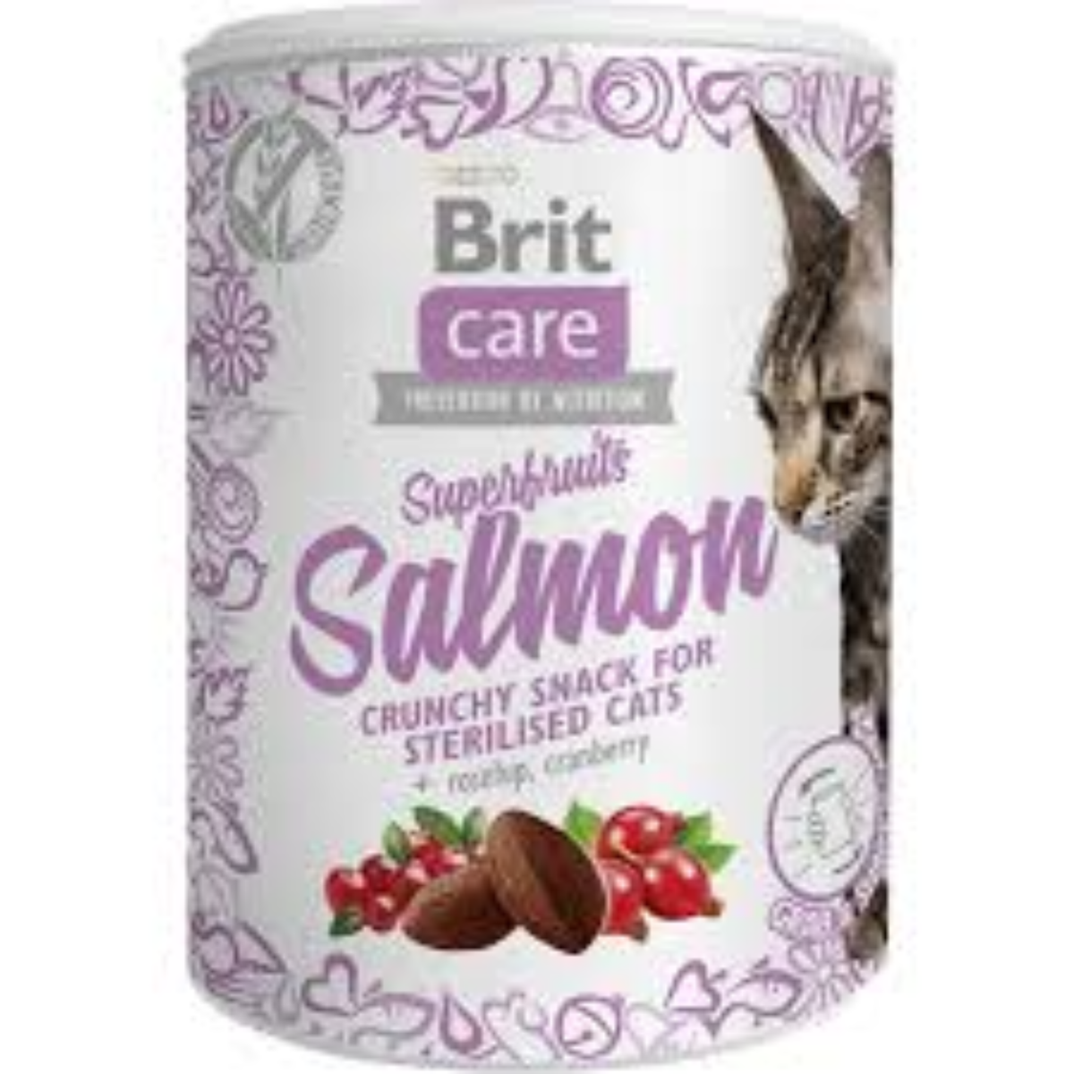 Brit Care Super fruit Snacks Cat Salmon 100g