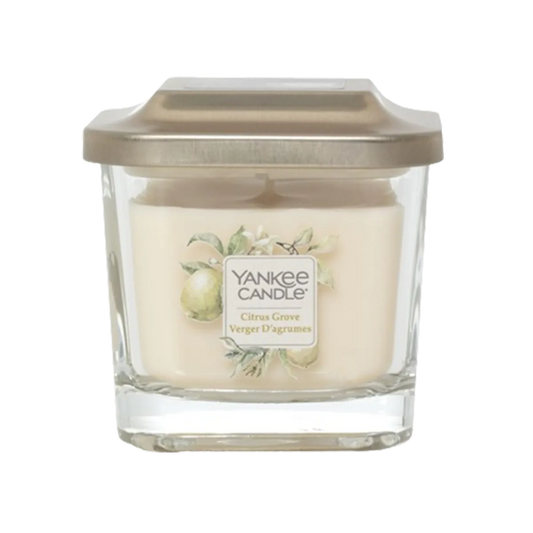 Elevation Limited Edition small Citrus Grove 96 G