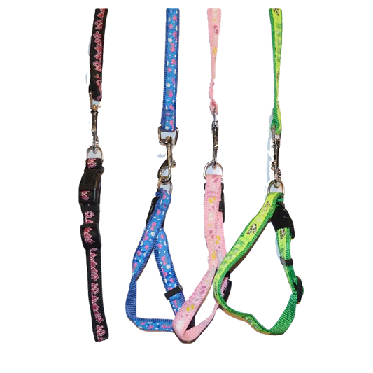 Dog And Cat Collar Leesh Multi Color