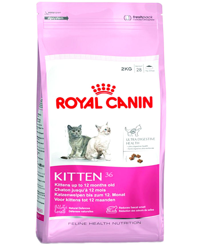 Royal Canin Kitten Cat Food 