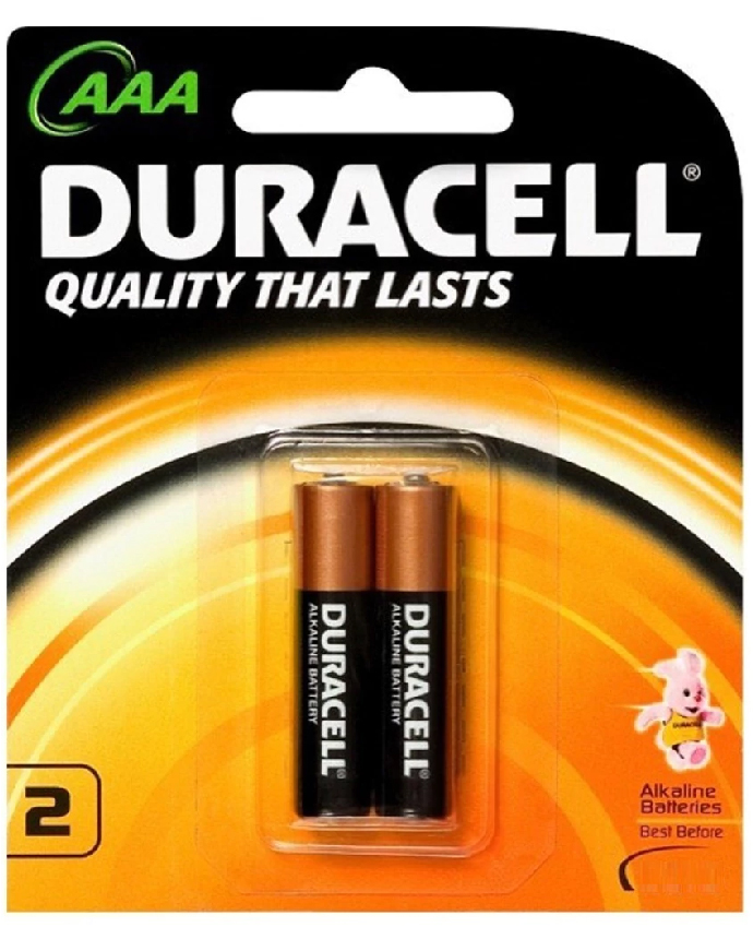 Duracell Alkaline AAA Batteries - 2 Counts