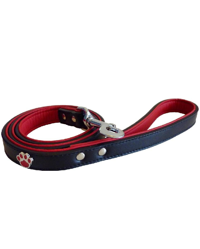 Charm Dog Collars And Leashes 3 x 60cm