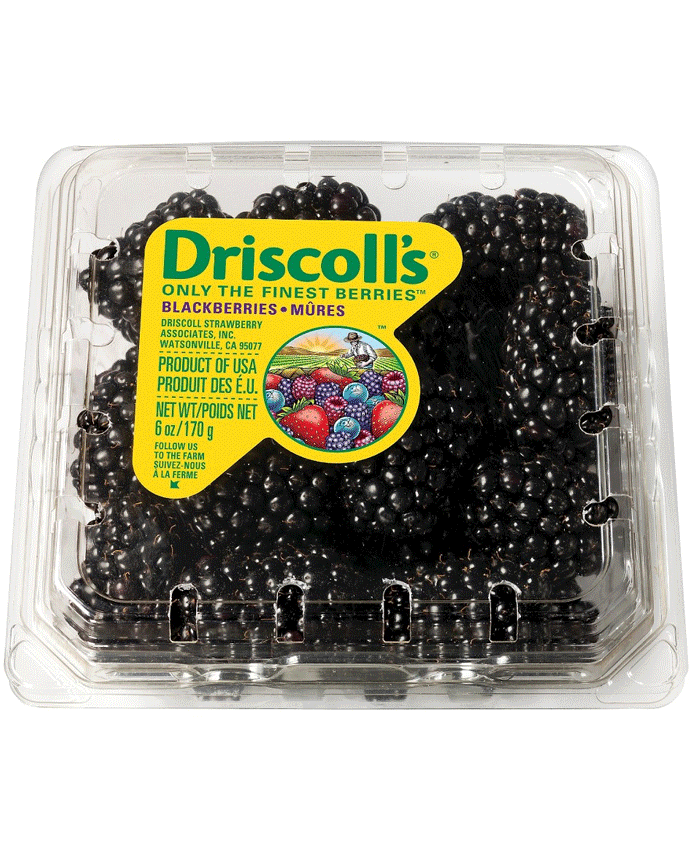 Driscoll's Blackberries