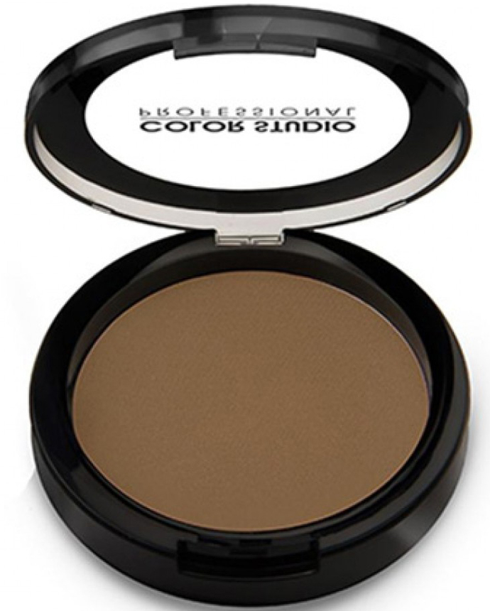 Color Studio Bronzer Safari 301