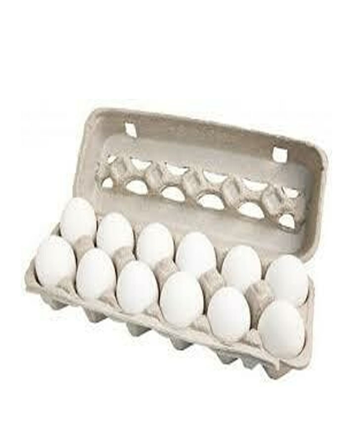 Jankay Organic Free Eggs 12Pcs