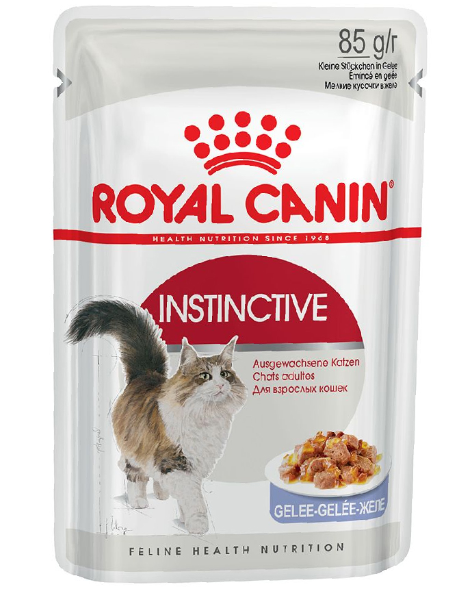 Royal Canin Jelly Kitten Instinctive Cat Food