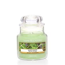 Yankee Candle Wild Mint Small Jar 104g