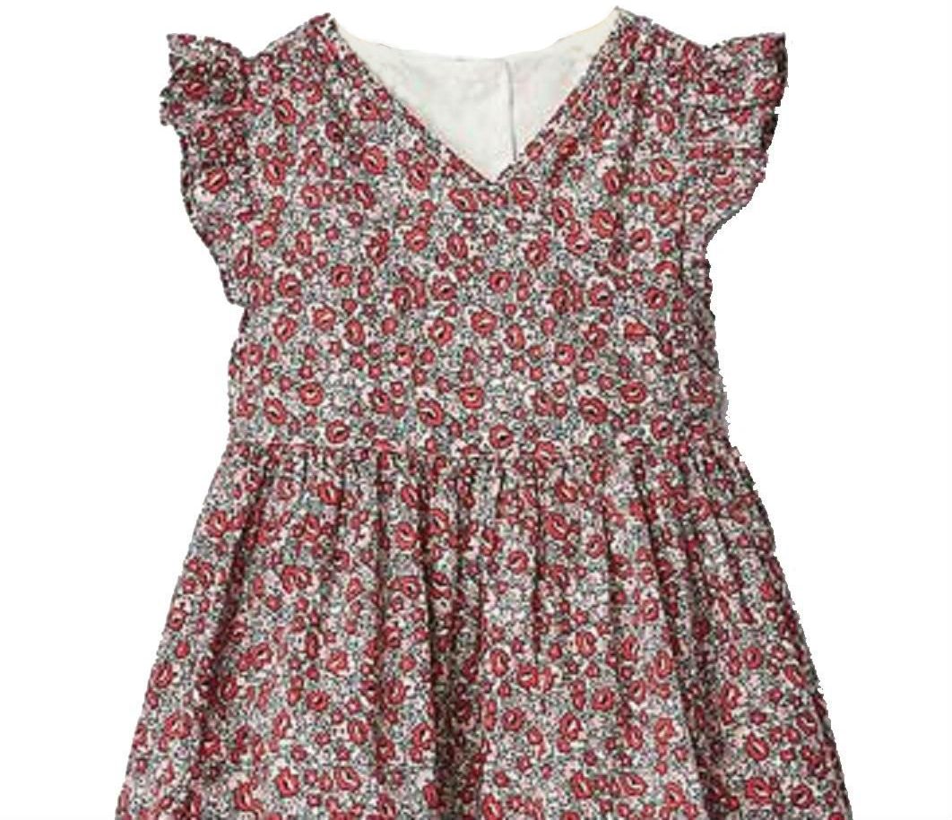 Gap Baby Girl Tg Ptf Fall Dress Mini Floral
