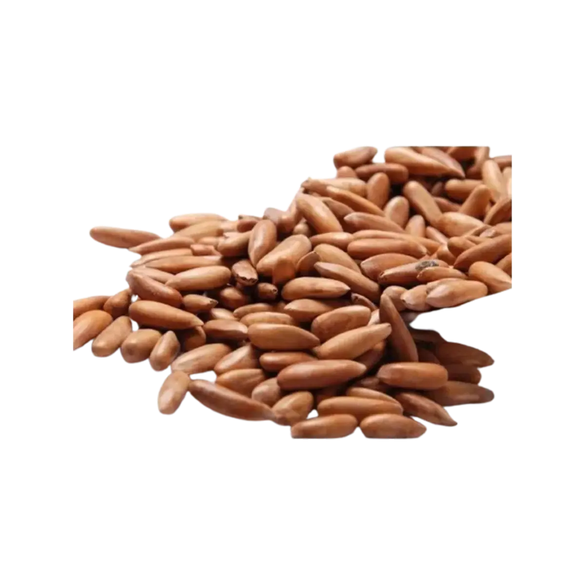 Yaseen Whole Chalgoza 400G