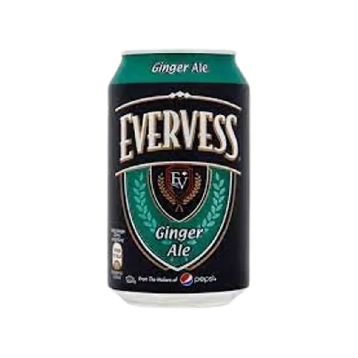 Evervess Drink Ginger Ale 300Ml