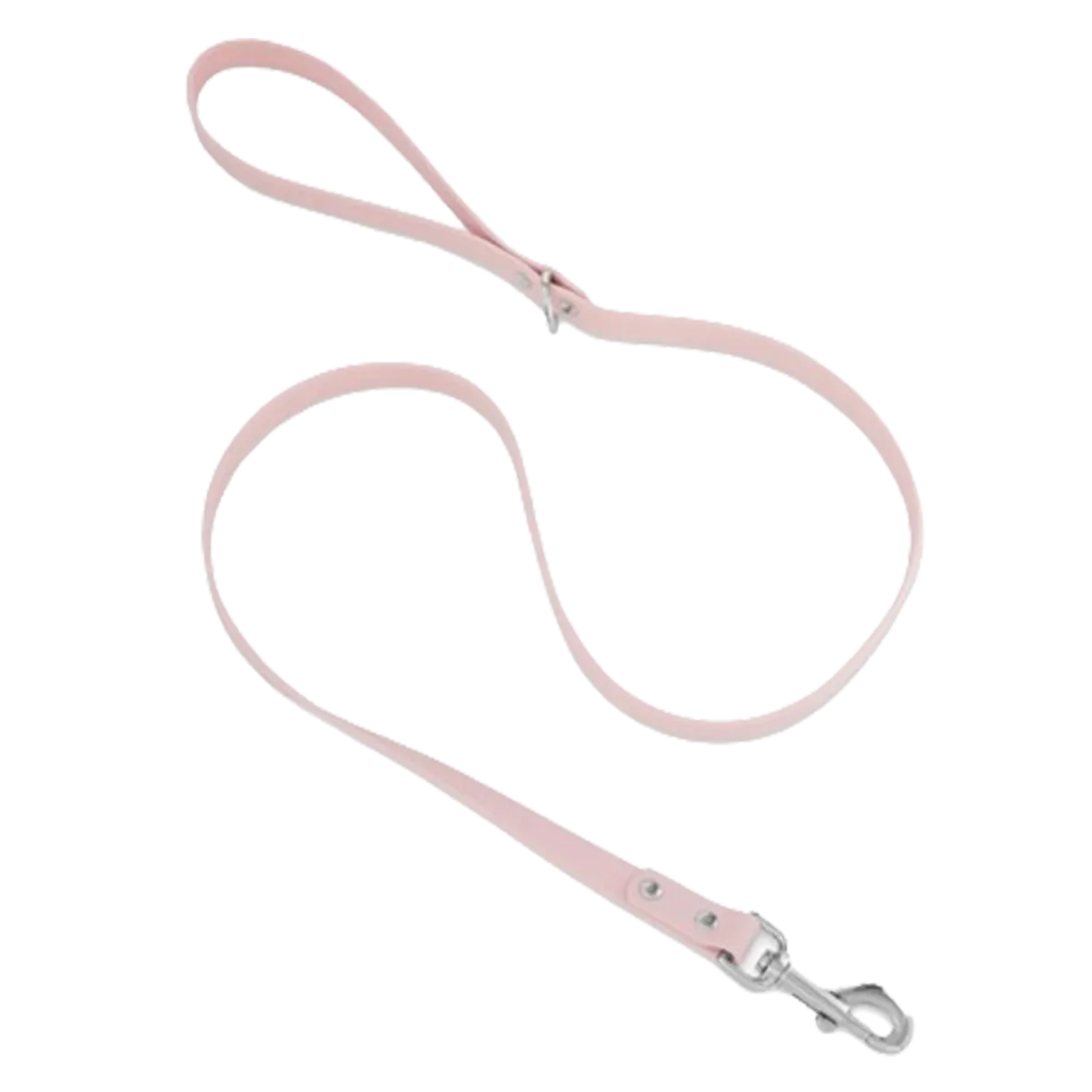 Charm Dog Leash 1X120Cm