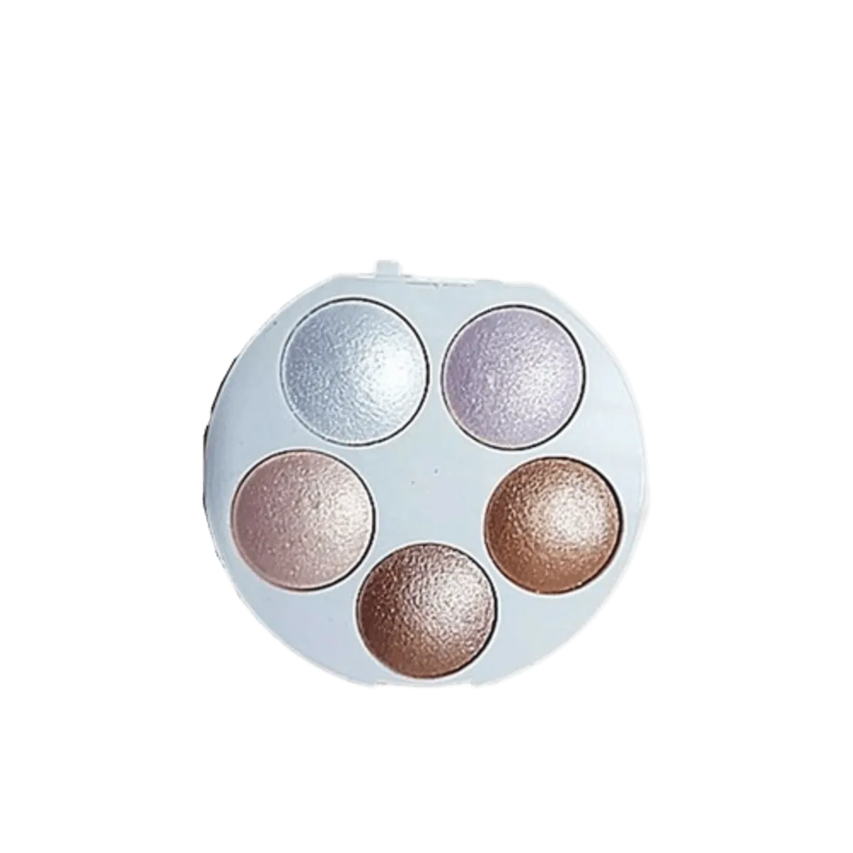 Msyaho Highlighter & Blusher 5In1