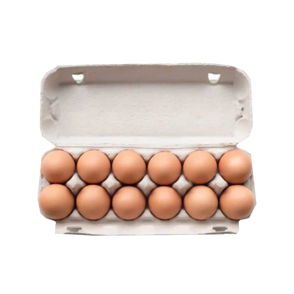 Desi Kukkar DESI Eggs 12p