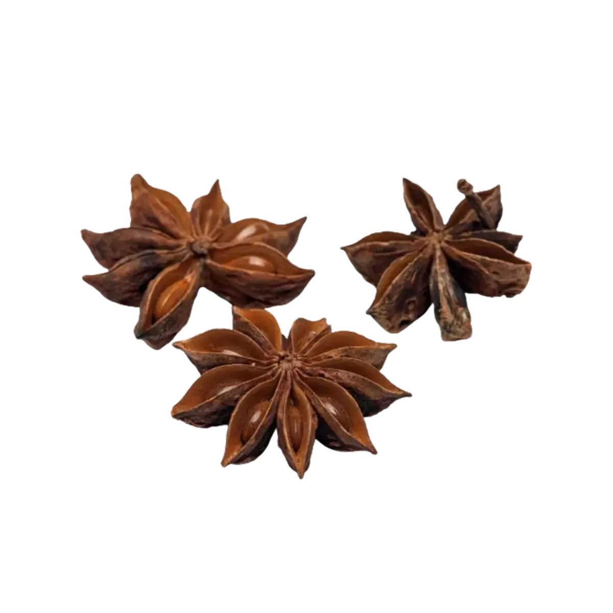Ns Spice Whole Star Anise 60G