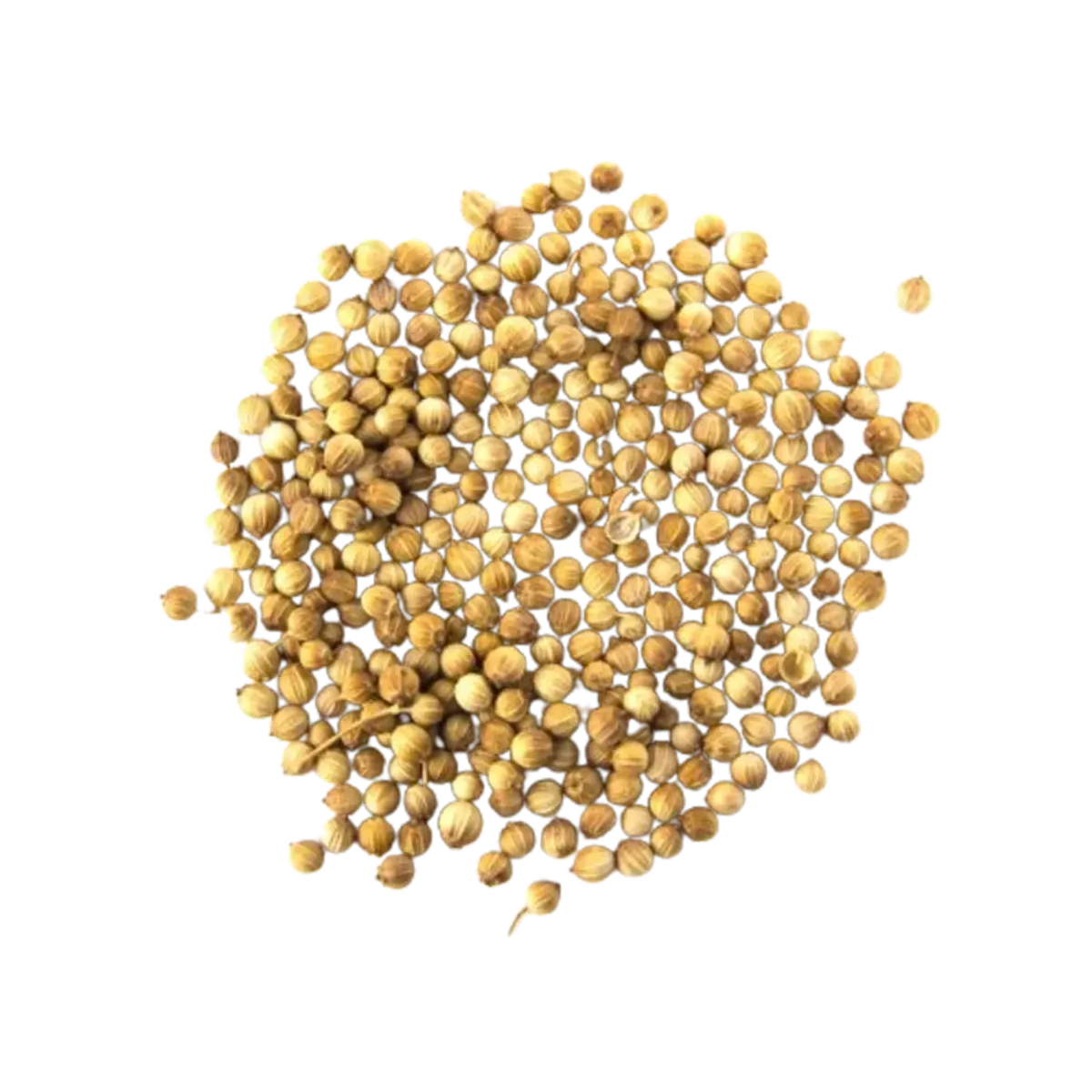 Ns Spice Coriander Seed 60G