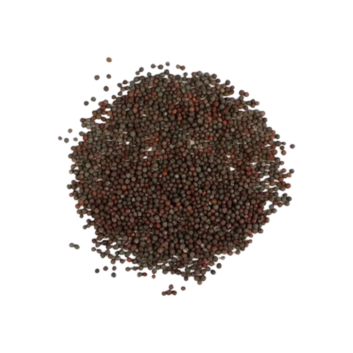 Ns Spice Mustard Seed 110G