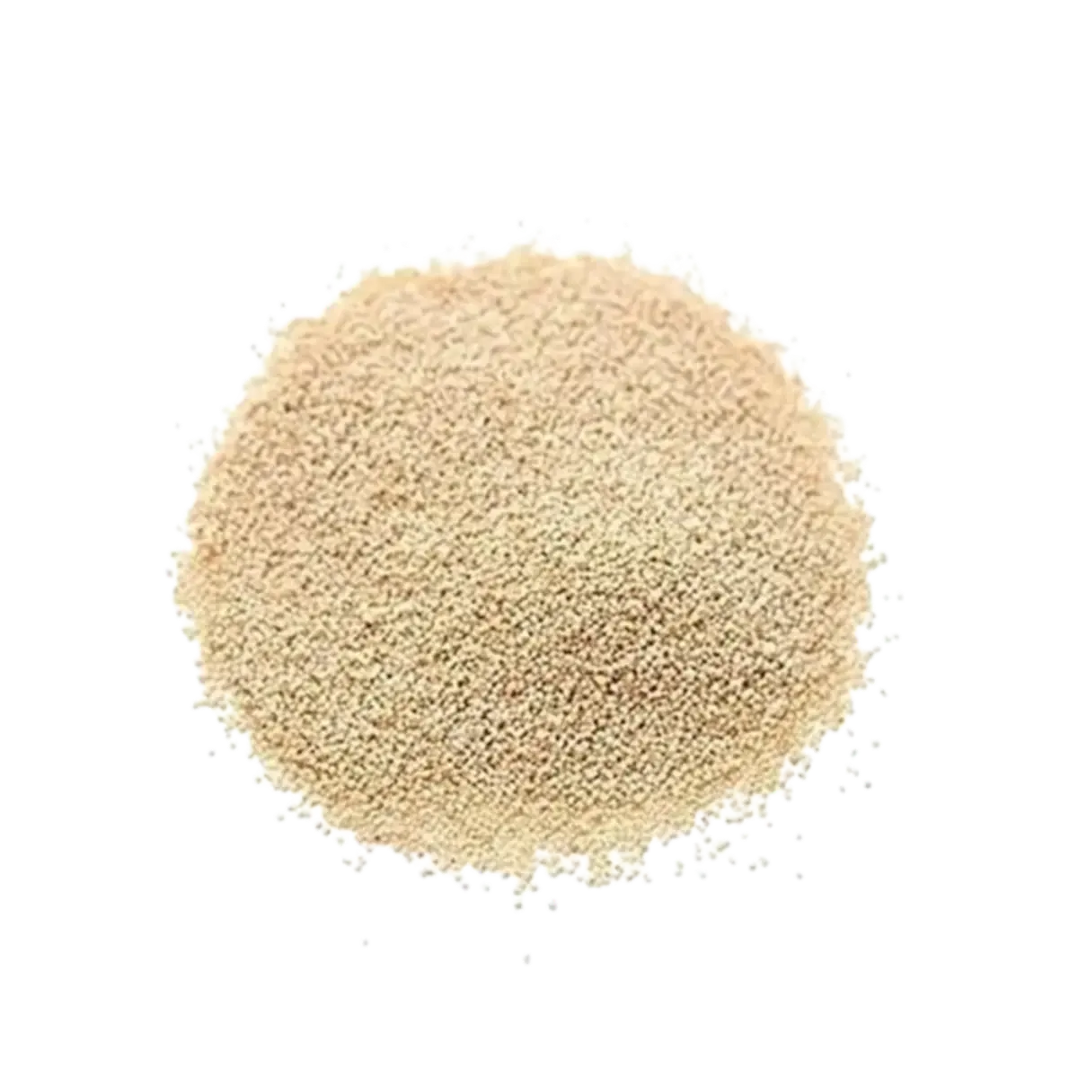 Ns Spice Poppy Seed 100G