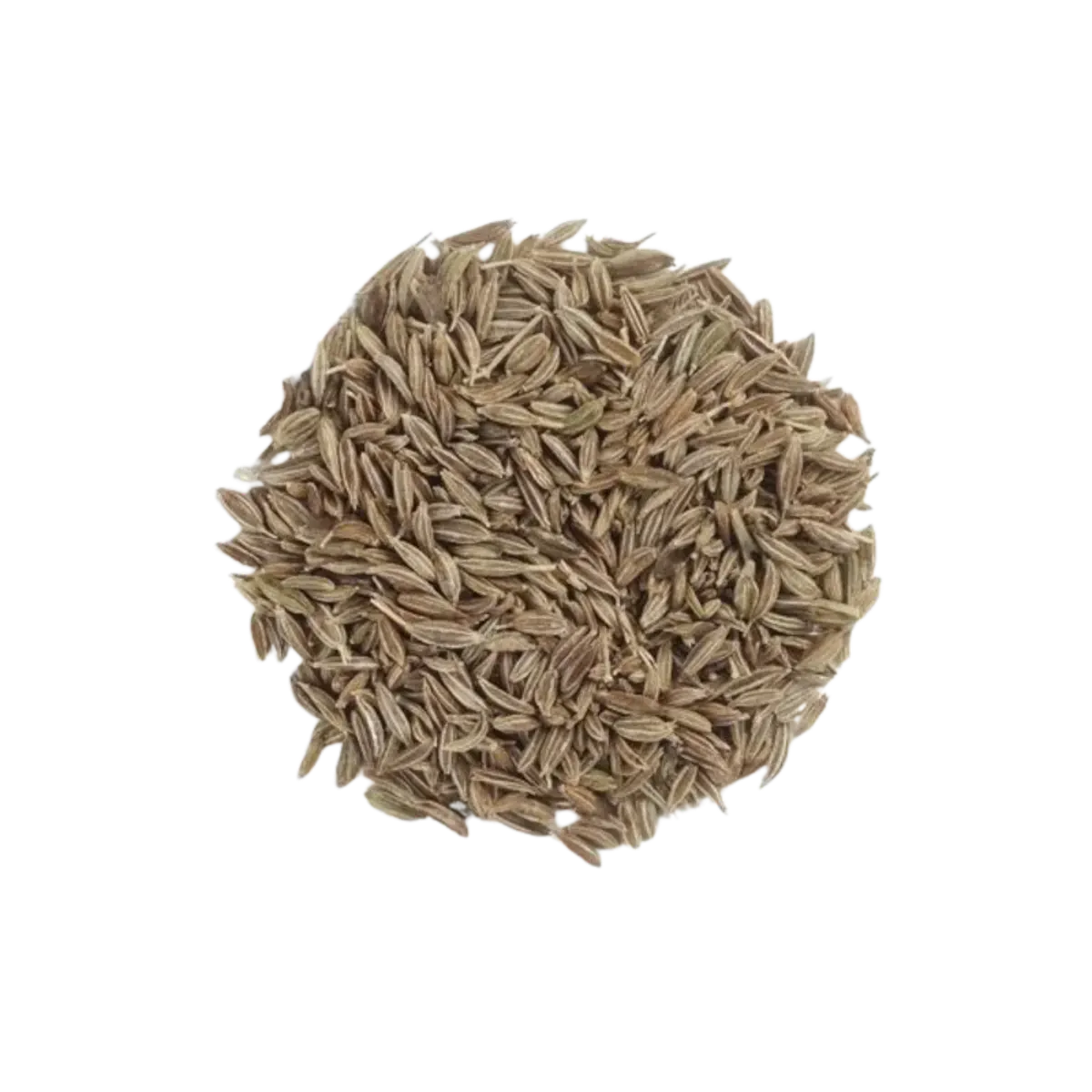 Ns Spice Cumin White 90G