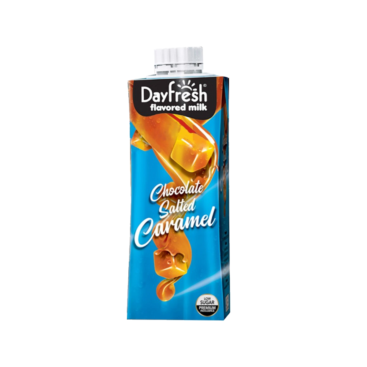 DayFresh Flavoured Milk Chocolate Salted Caramel 225ml