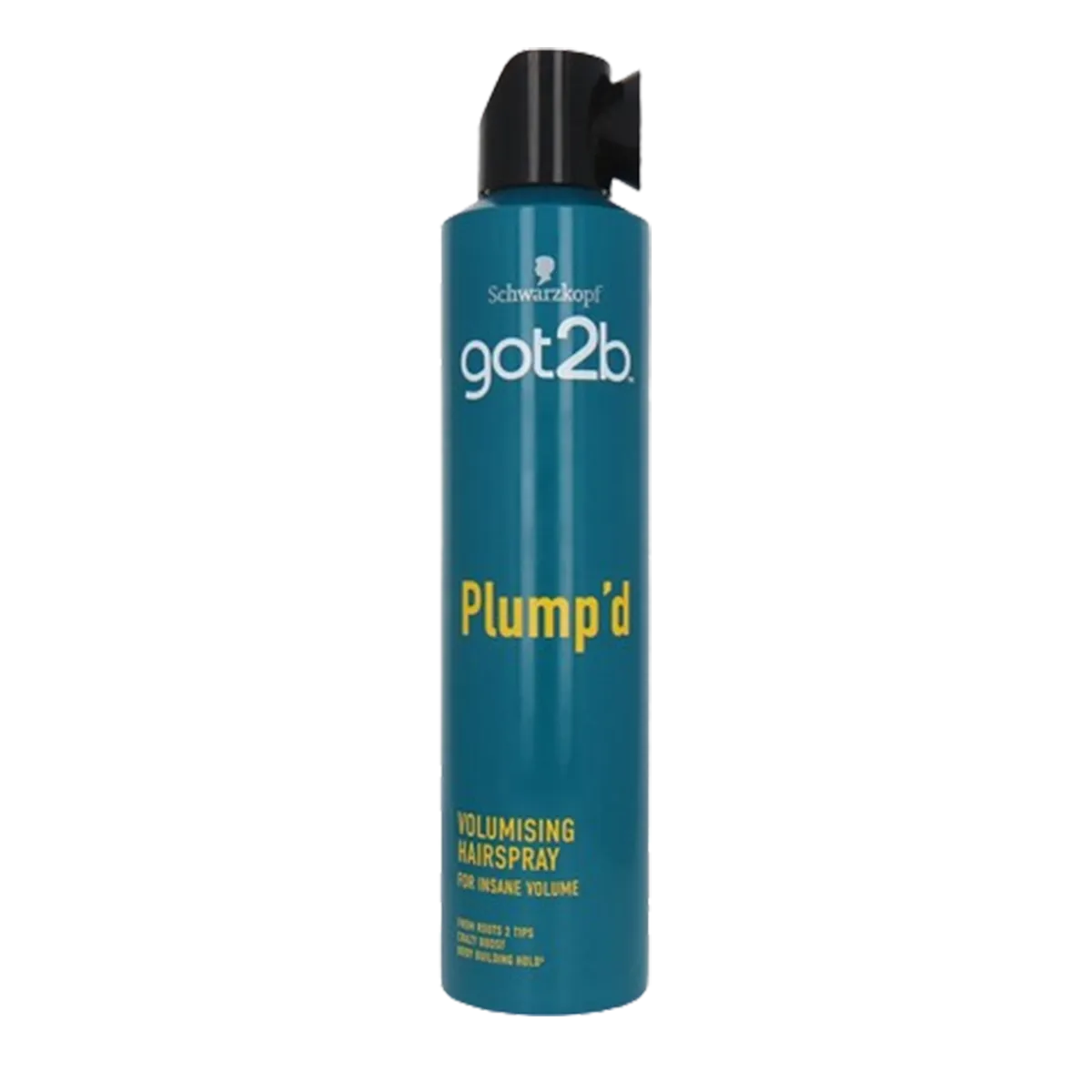 Got2b Plumpd Hair Spray 300ml