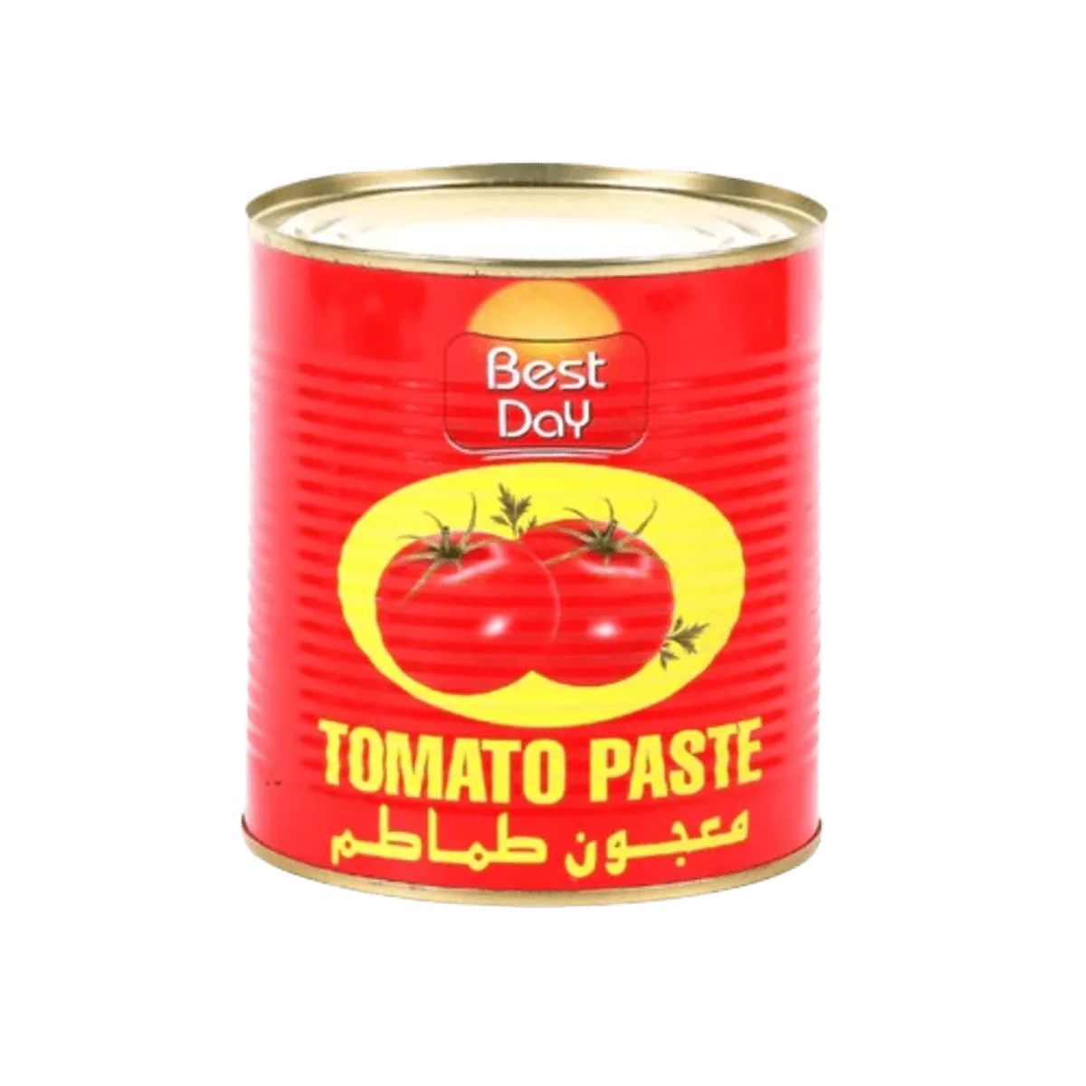 Best Day Tomato Paste 210g