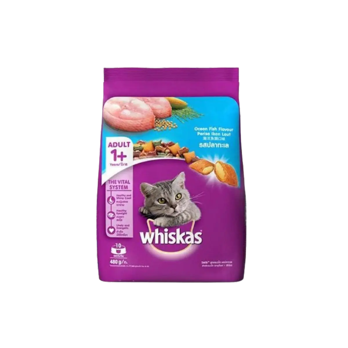 Whiskas Junior Mackerel Flavor 450Gm