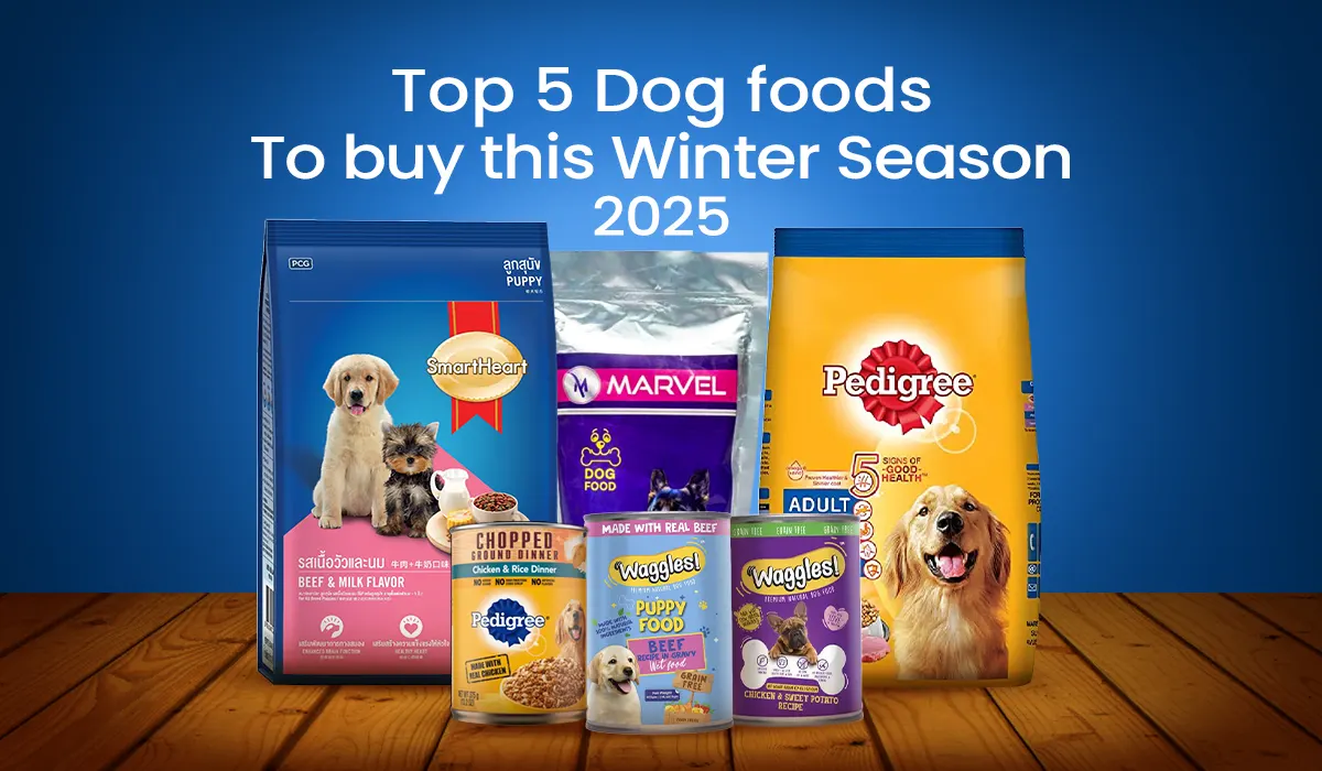 Top 5 Dog foods to buy this Winter Season 2025