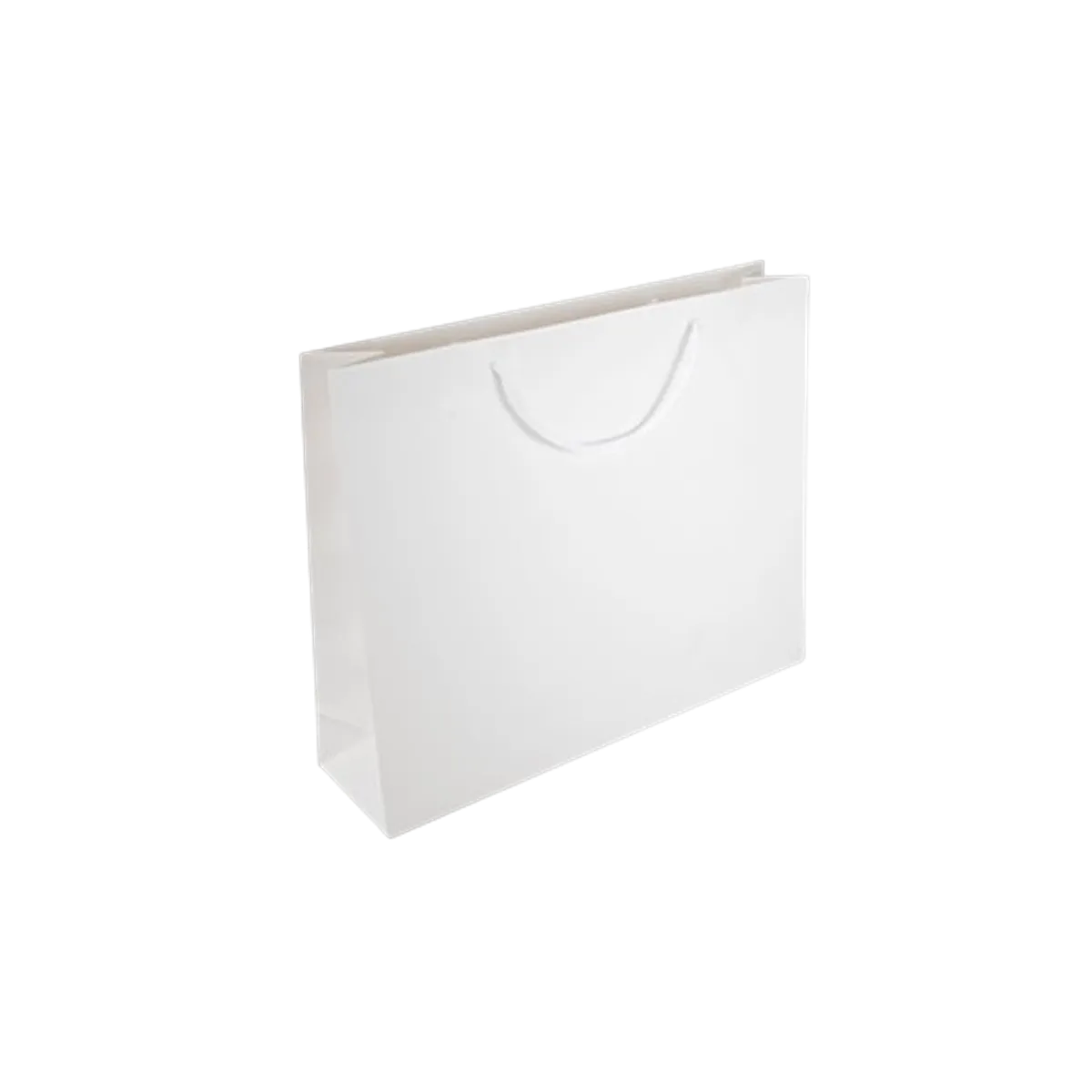 Large Paper Bag 22*15