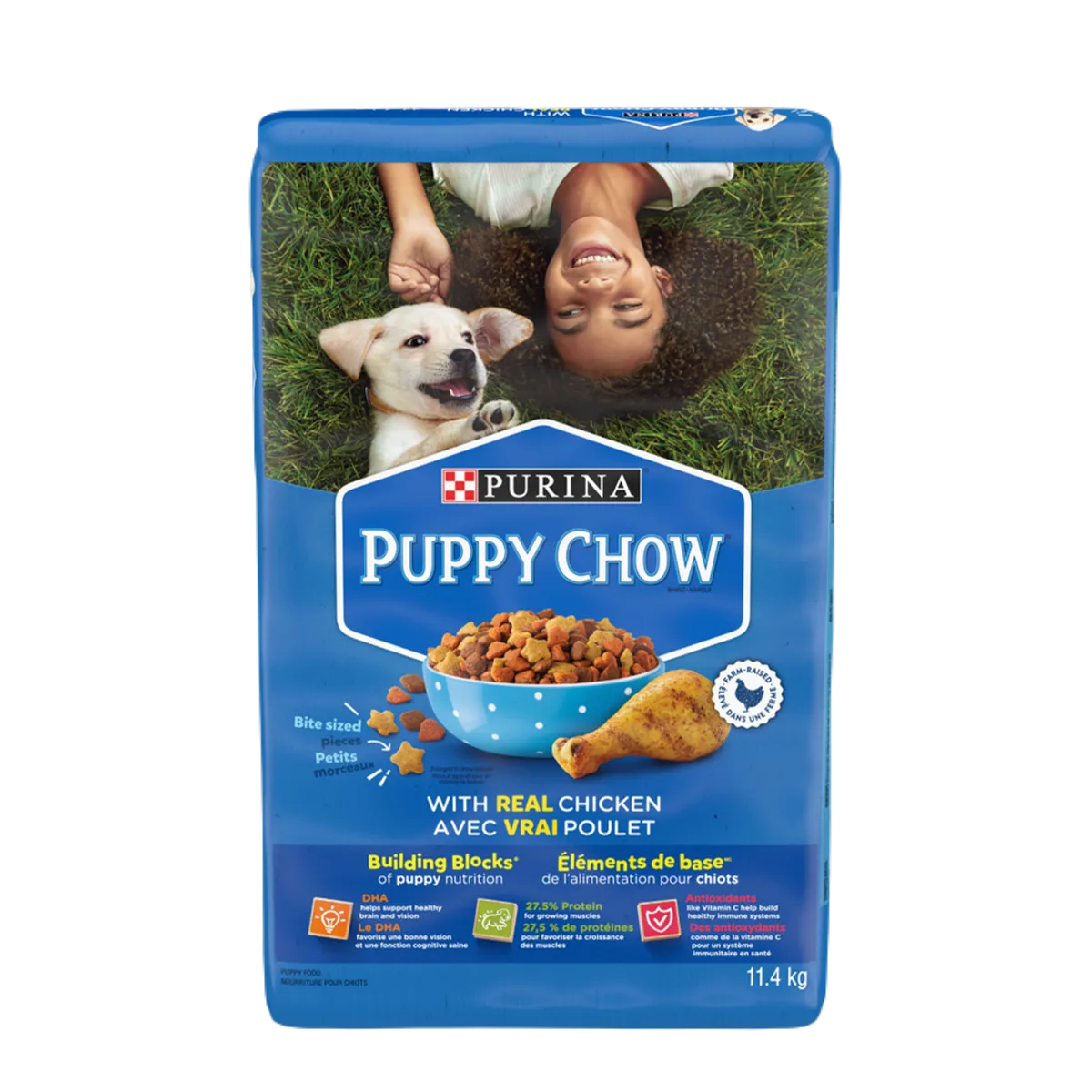 Purina Complete Puppy Chow Dog Food 4kg