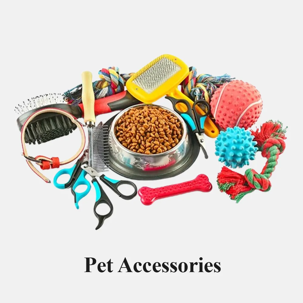 Pet Accessories