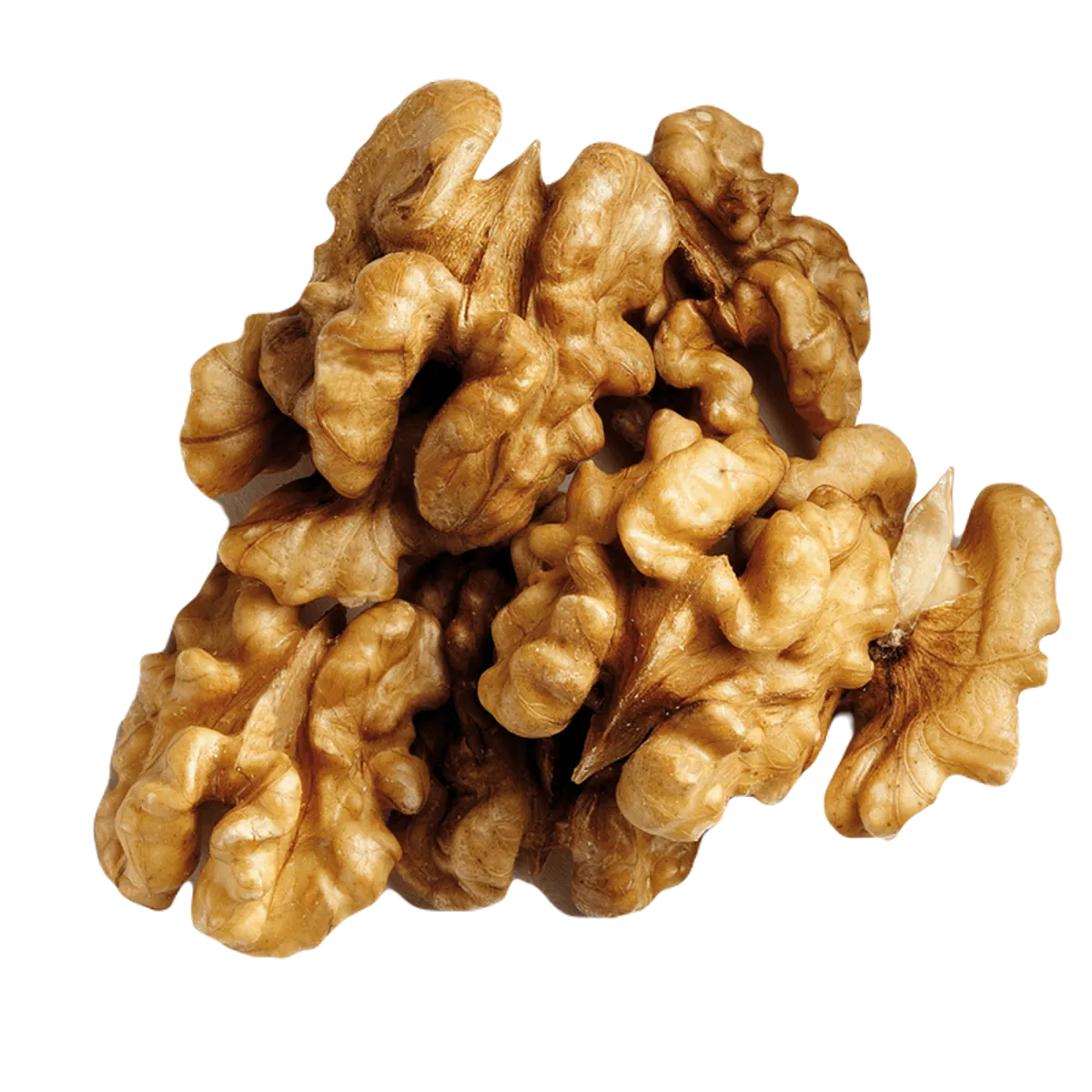 Saleem Dry Fruit Walnut 500g