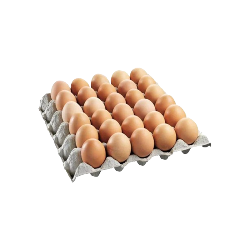 Golden eggs 15piece