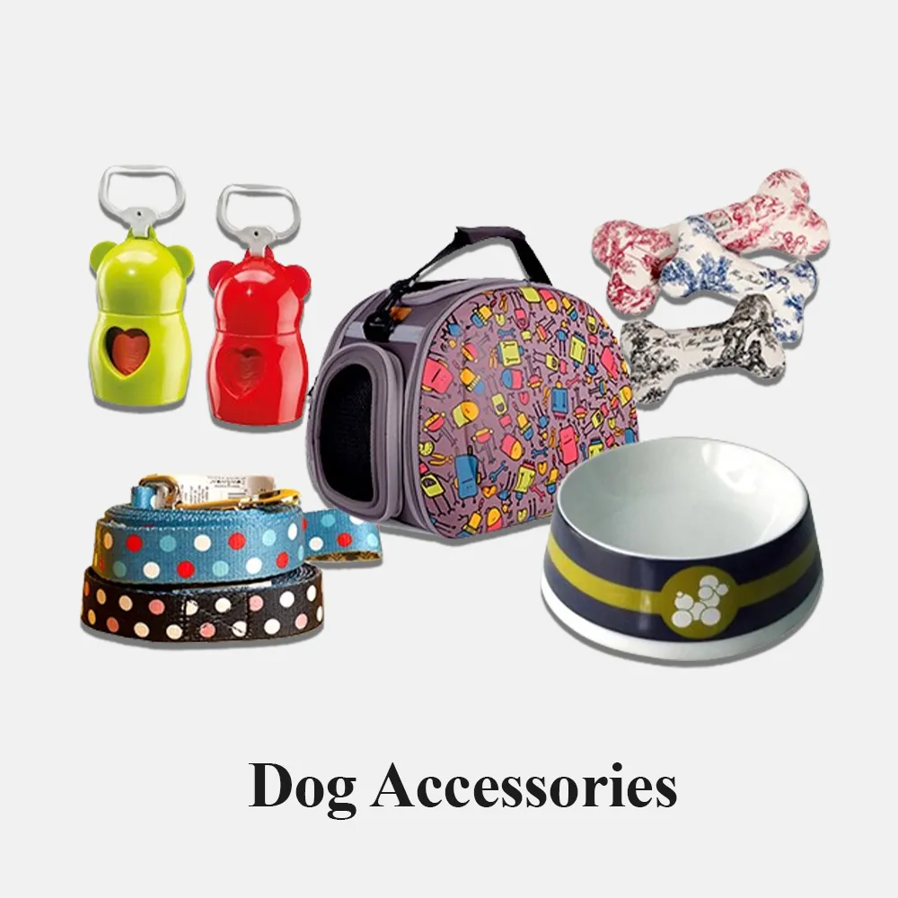 Dog Accessories