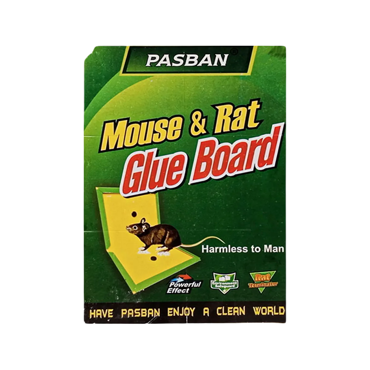 Pasban Mouse & Rat Glue Board