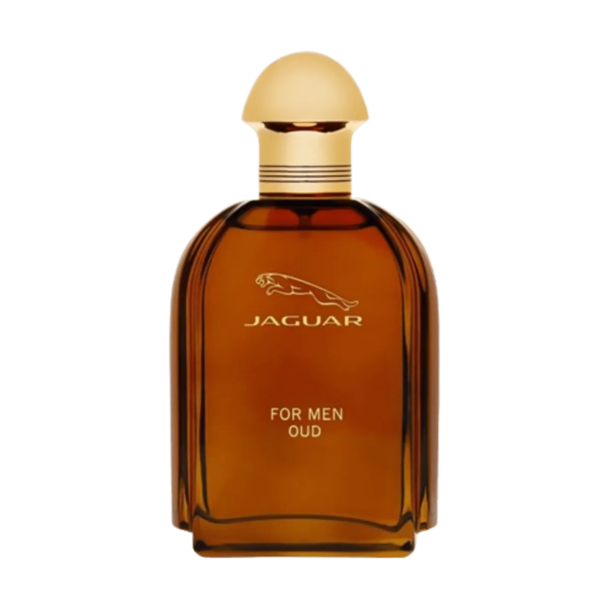 JAGUAR OUD MEN EDP 100ML