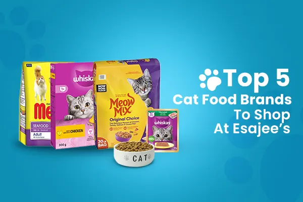 Best 5 Cat Food Brands to Shop at Esajee’s