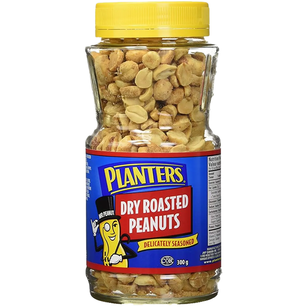 Planters Dry Roasted Peanuts 300g