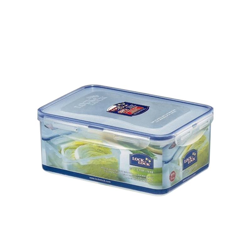Lock & Lock Rectangle Food Container