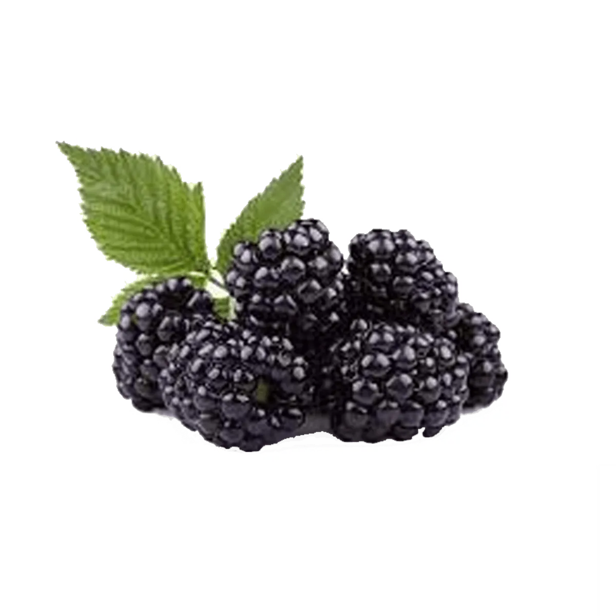 Farm Fresh Fresh Blackberry 125g