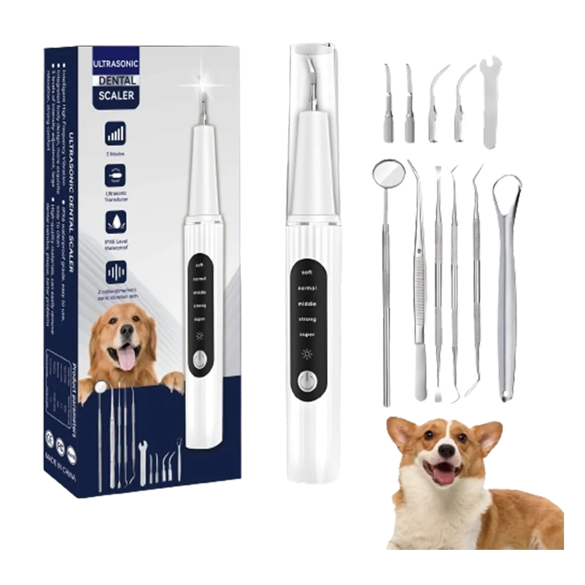 Charm Dog Teeth Cleaning 12