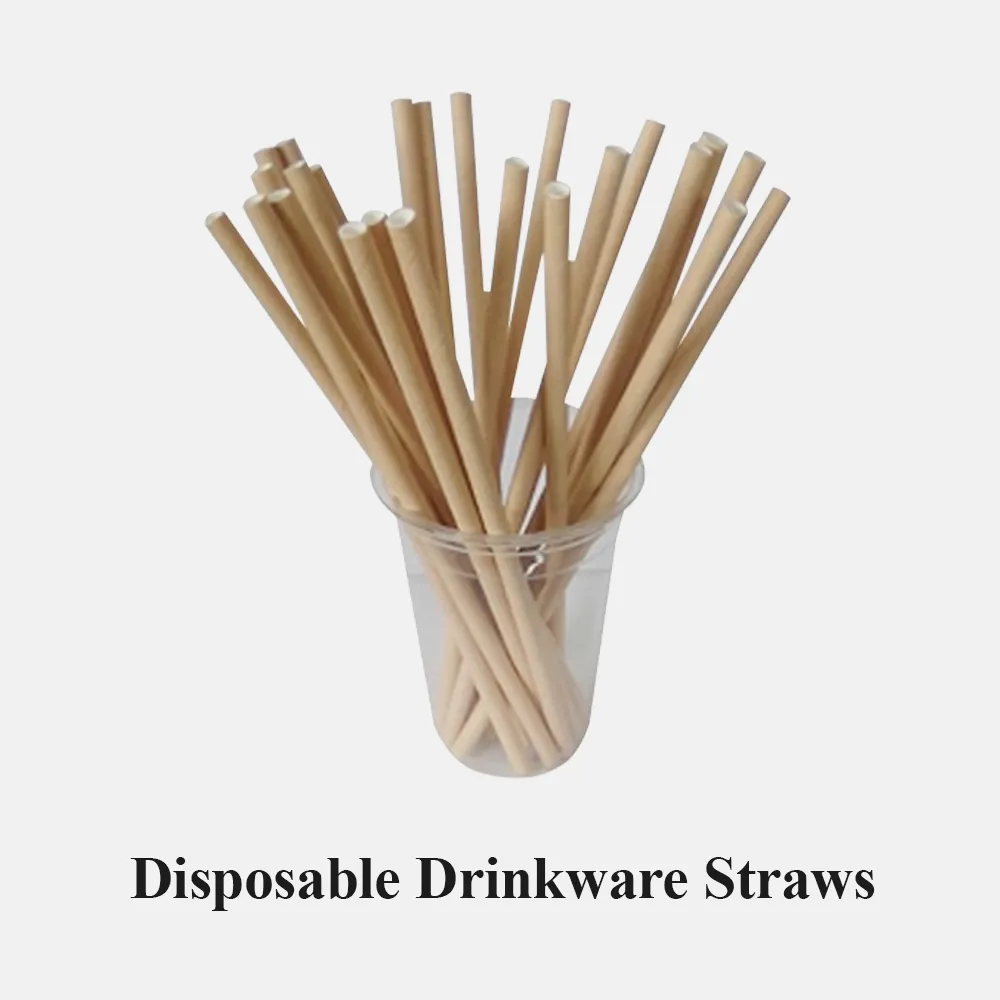 Disposable Drinkware Straws