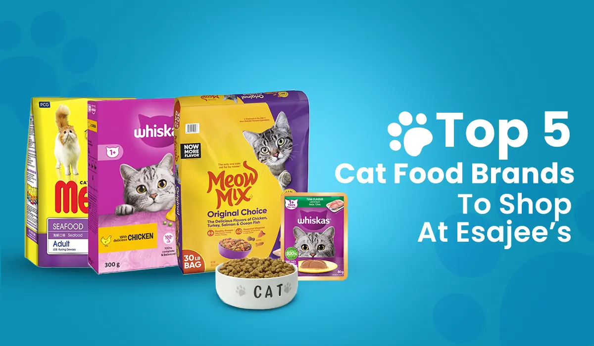 Best 5 Cat Food Brands to Shop at Esajee’s