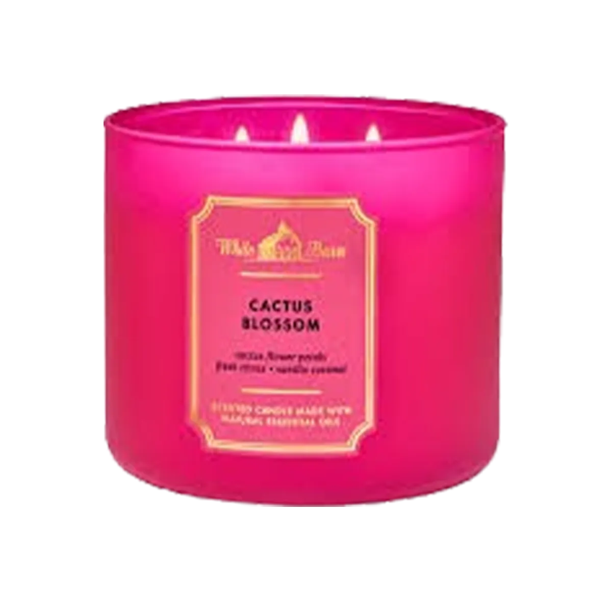 Bath & Body Works Candle 3 Wick Cactus Blossom 411